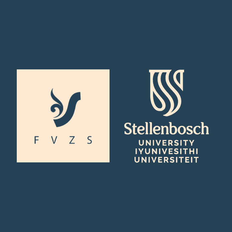 Stellenbosch University Frederik van Zyl Slabbert Institute FVZS Institute